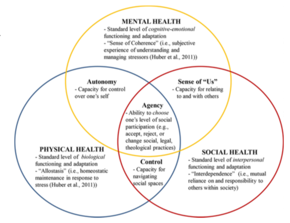 mental health serta physical dan social diagram